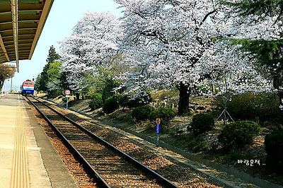 사랑과평화의샘