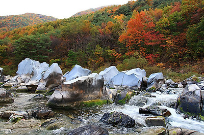 사랑과평화의샘