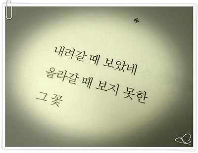 내려갈 때 보았네 / 올라갈 때 보지 못한 / 그 꽃