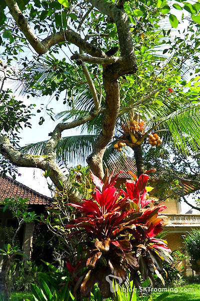 [여행Tip]신들의 섬으로 떠나자, 인도네시아 발리 여행정보