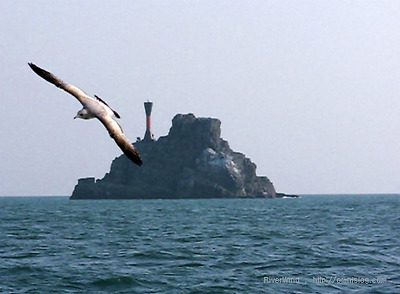 바다관광 태종대-주전자섬