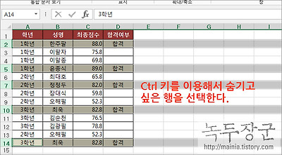 엑셀 Excel 숨겨진 행 제외하고 보이는 데이터만 복사하는 방법