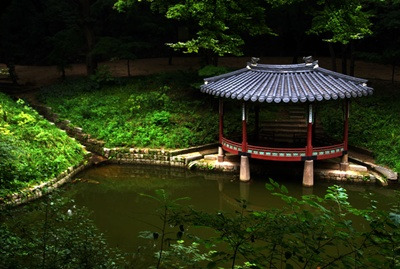 창덕궁 비원 (1)