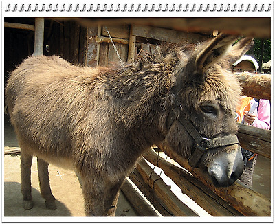 용인 민속촌에서