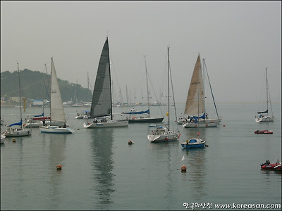 화성 전곡항 세계요트대회 1