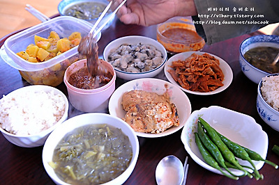 사용자 삽입 이미지