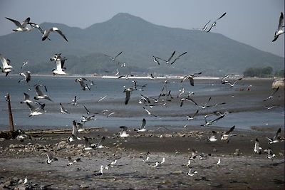 마니산 등산 후기