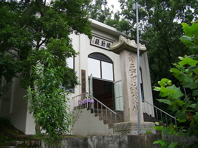 서울 도심에서 연(蓮)꽃을 실컷 구경하다.. 봉원사(奉元寺) 연꽃축제