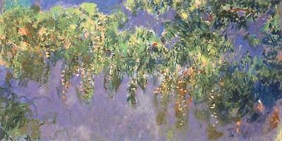 Monet Wisteria