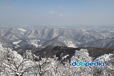 발왕산에서 본 평창군
