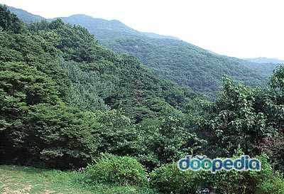 청계산