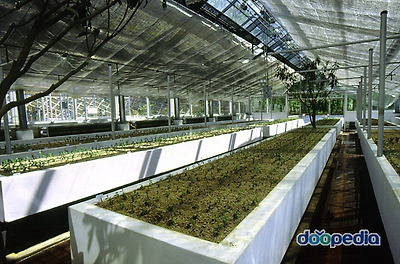 이미지를 클릭하시면 창이 닫힙니다