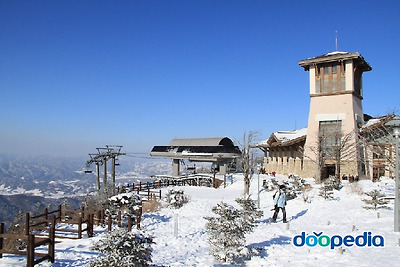 용평리조트 드래곤피트