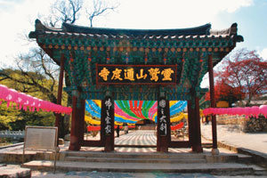 “불법(佛法)은 여름날 우거진 녹음”