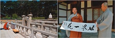 “불법(佛法)은 여름날 우거진 녹음”