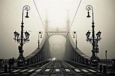 beautiful bridges