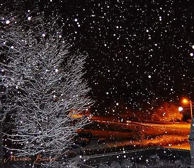 snowy nightì— ëŒ€í•œ ì´ë¯¸ì§€ ê²€ìƒ‰ê²°ê³¼