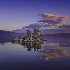 No Hurry 작성자 _Hans van de Vorst