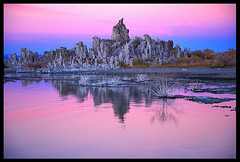 Mono Lake Colorful Evening 작성자 Buck Forester