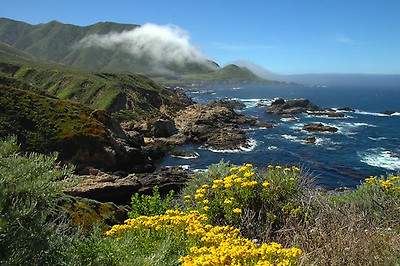 bridgepix님이 촬영한 Pacific Coast, Monterey County, California.