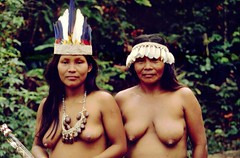 Peru Selva Iquitos 작성자 treppenstufe