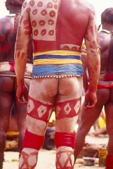 Yamuricuma Xingu Amazon_rb0130 작성자 BrazilPhotos Stock Agency