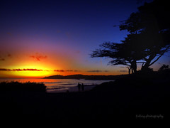 Lovers in Carmel by-the-sea 작성자 anton_photographer
