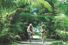 Bicycling Manihi 작성자 Tahiti Tourism