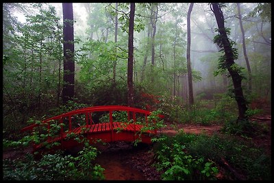 The Bridge to Never Never Land.