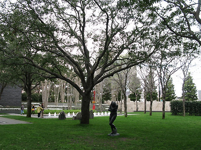 댈러스 도심 속 오아시스, 내셔 조각 센터(Nasher Sculpture Center) - 이미지