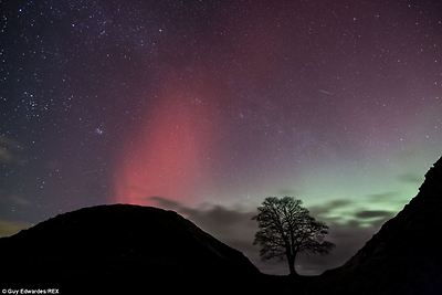Mark Thompson told the BBC: 'The electronically charged particles take two or three days to get here' Above, the Northern Lights at Sycamore Gap, Hadrian's Wall
