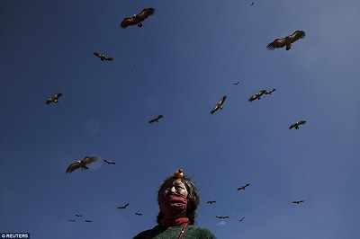 Vultures fly over an ethnic Tibetan woman from Kham area wearing traditional amber headwear during a sky burial near the Larung valley.