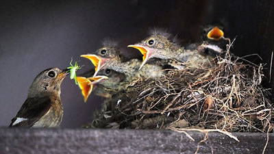 ..............→ ................