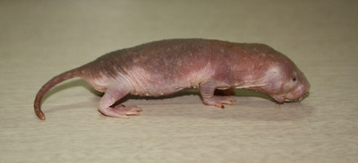 만든 곳→ ..........................................