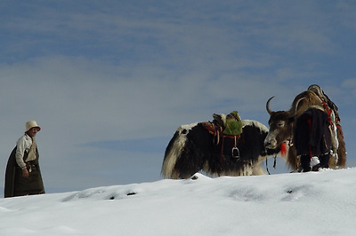 죽기 전 꼭 가봐야 할 중국 명소 1위, '다오청야딩'