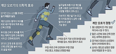 계단 오르기의 의학적 효과 설명 그래픽