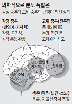 의학적으로 분노 폭발은