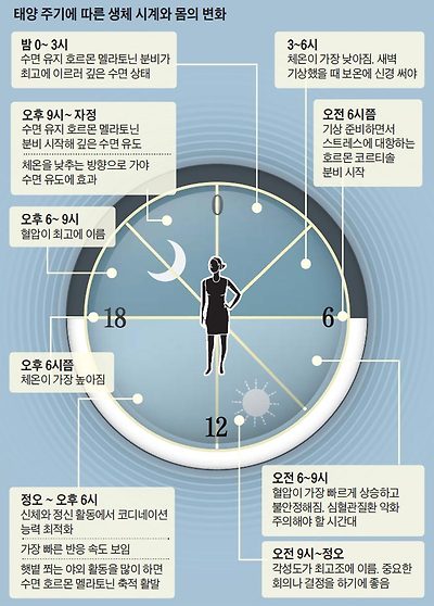 태양 주기에 따른 생체 시계와 몸의 변화