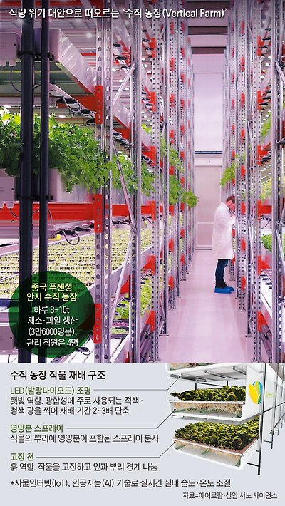 수직 농장 작물 재배 구조