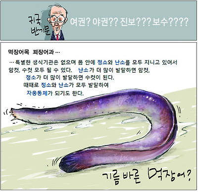 [국민만평-서민호 화백] 자웅동체 반기문？ 기사의 사진