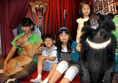 작성: Daum카페: 한국 네티즌본부