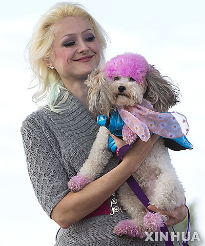 작성: 한국 네티즌본부