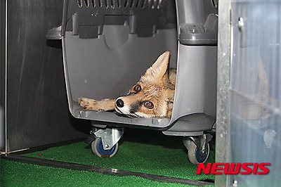 작성: 한국 네티즌본부