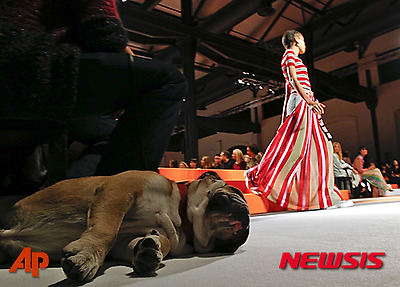 작성: 한국 네티즌본부