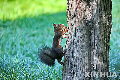 작성: 한국 네티즌본부
