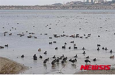 작성: 한국 네티즌본부