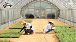 [강소기업이 힘이다] 종자 주권을 지키다! '아시아종묘' - 16회