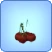 Cherries.png