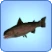 레인보우 Trout.png