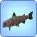Mummy Fish.png